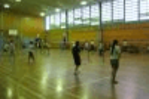 Sydney Snail Badminton Club Epping Session 4