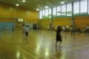 Sydney Snail Badminton Club Epping Session 6